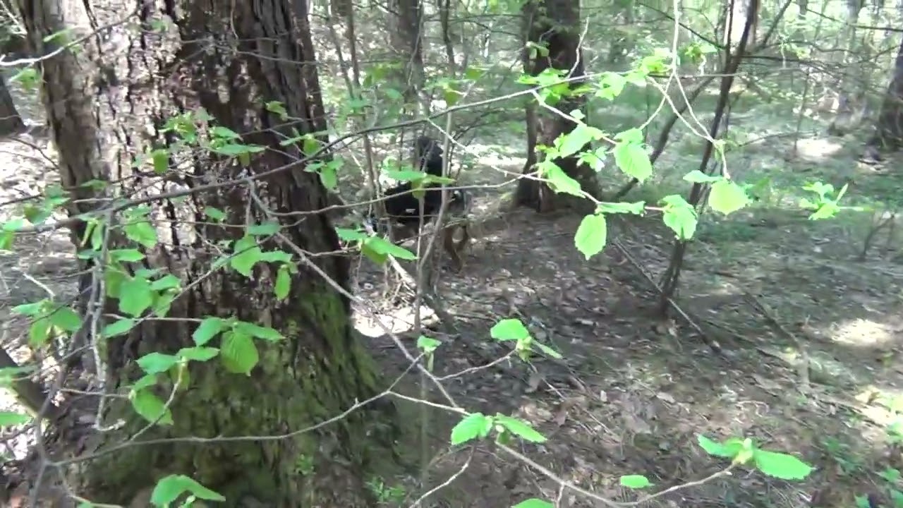 5 M. S. Casagranda 29 04 2023   Muta R.  Petrolati