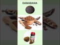 Dawadawa Health Benefits