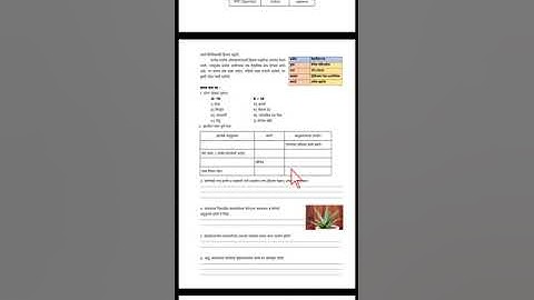 Bridge course General Science Class 8 th Activity Sheet no 1 Revision