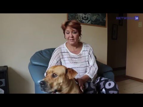 Video: Die Hond Het Die Kleuring Van Sy Jas In Pienk Oorleef En Sy Oor Verloor