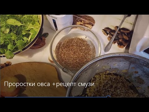 Видео: Должен ли я добавлять овес в свой смузи?