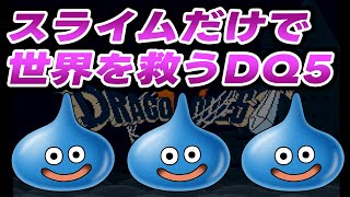 #2【盆休み企画】スライムだけで世界を救うDQ5 縛りプレイ【ドラクエ5】