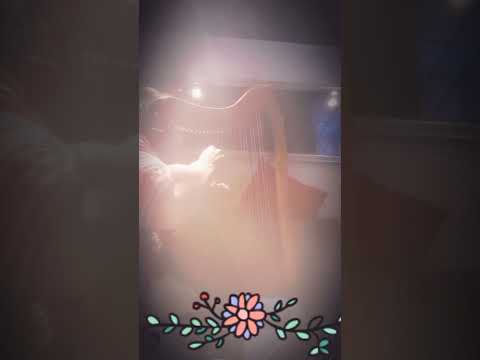 Playing around on