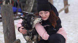 Катаюсь на собачьей упряжке. Знакомство с Хаски.