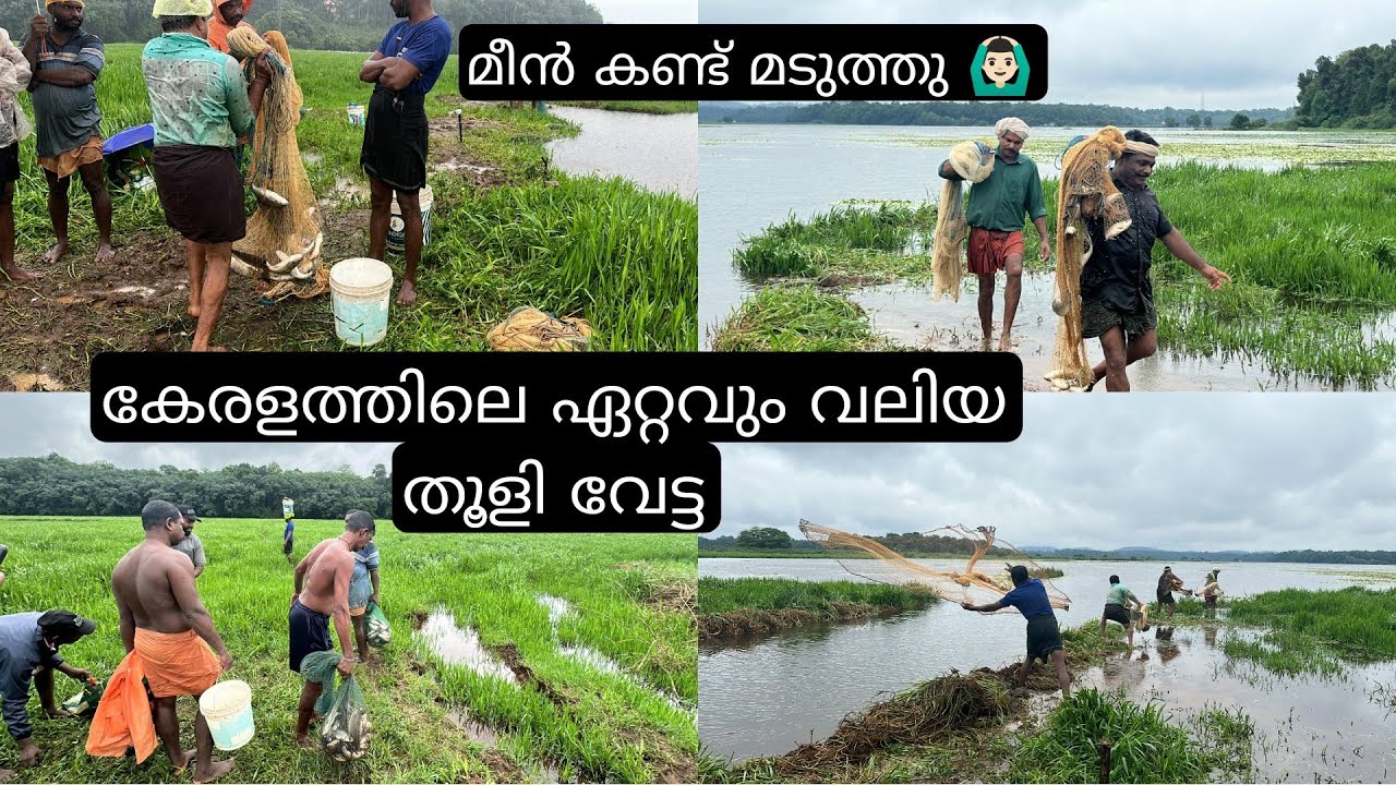 കേരള ചരിത്രത്തിലെ ഏറ്റവും വലിയ തൂളി വേട്ട |kerala cast net fishing | 200kg amazing fishing in kerala