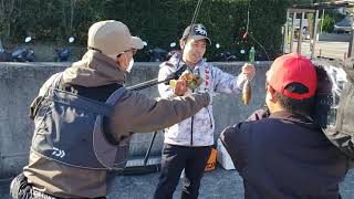 決定版 チョーさんの釣り情報 年12月13日 日 テレビ愛媛あさ6 30放送 Youtube