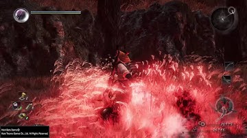 Nioh Beta Demo: Cheesejutsu