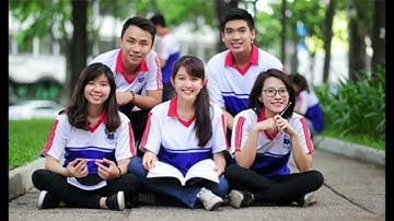 Giới thiệu về công ty TÂN CẢNG - STC. Các hoạt động nổi bật của doanh nghiệp