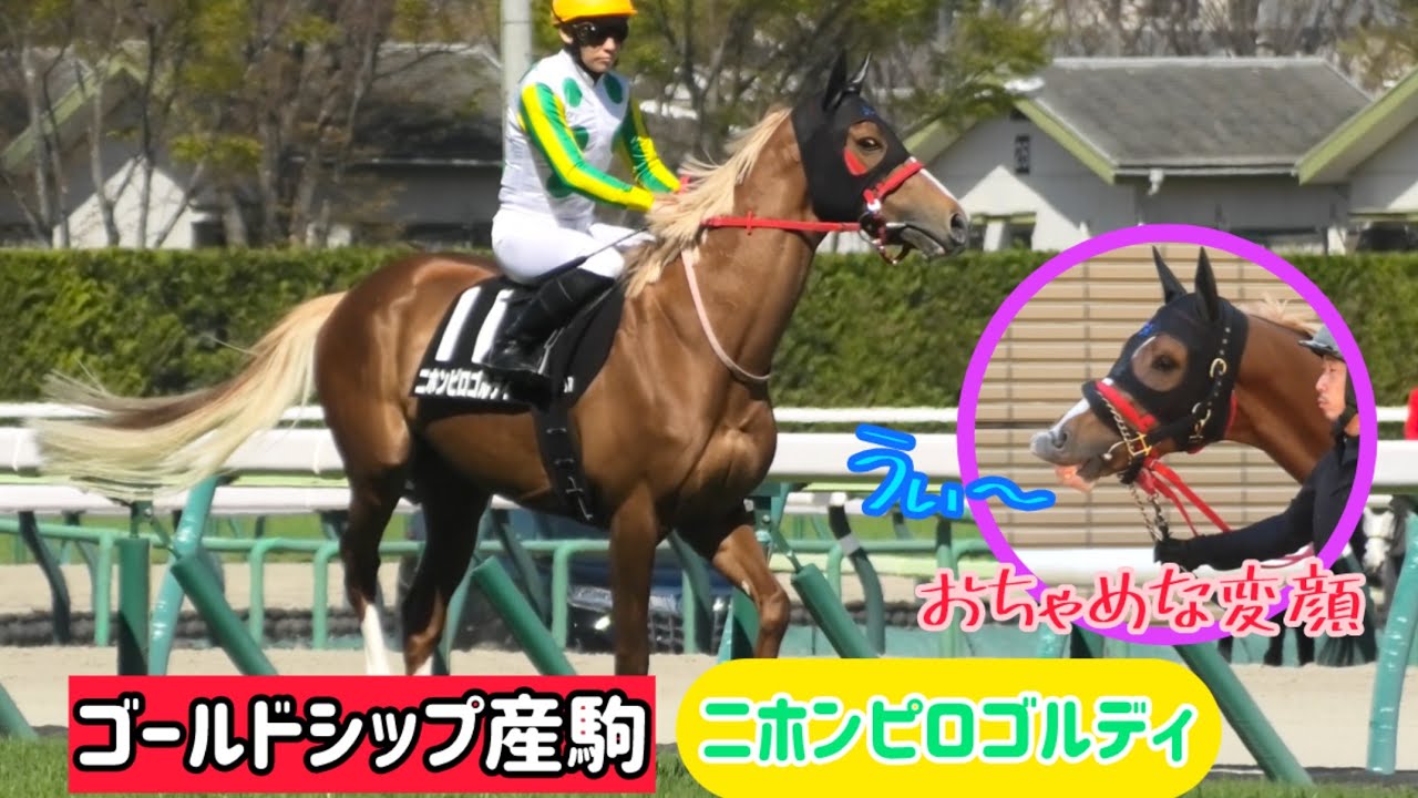 ゴールドシップ産駒】眩しい程の金髪イケメンだけどお茶目な変顔もし