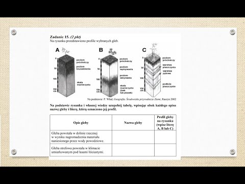 Wideo: Struktura Gleby: Pięć Podstawowych Warstw