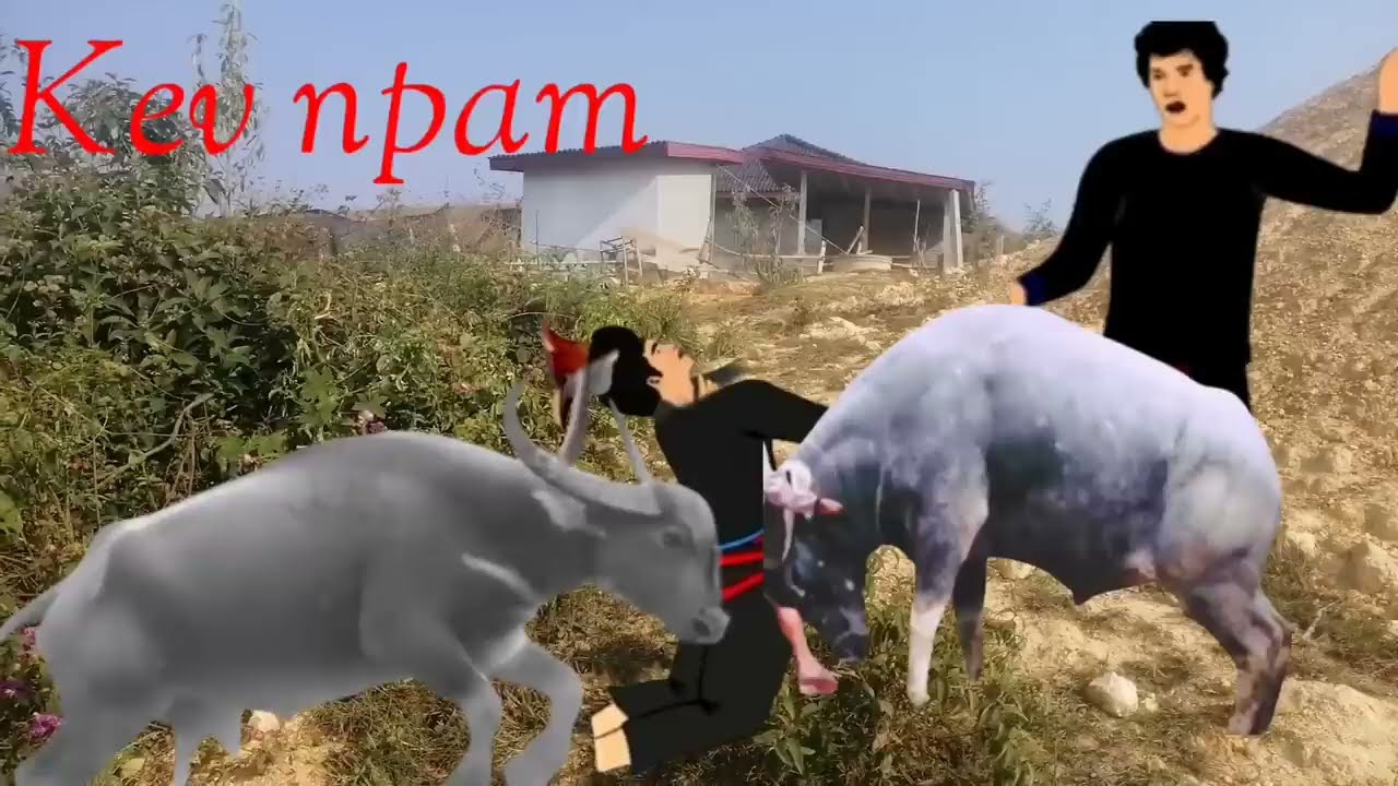 Kev npam rau cuag ntxoov nyiaj 14/2/2026