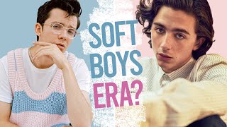 The Rise of the Soft Boy & Soft Man