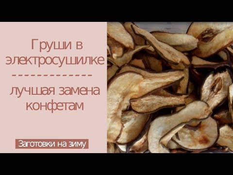 Как сушить груши в домашних условиях в электросушилке