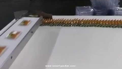 Automatic cookie biscuit horizontal flow film wrapping packing counting machine