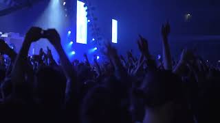 People Dancing And Raising Hands Up At The Concert