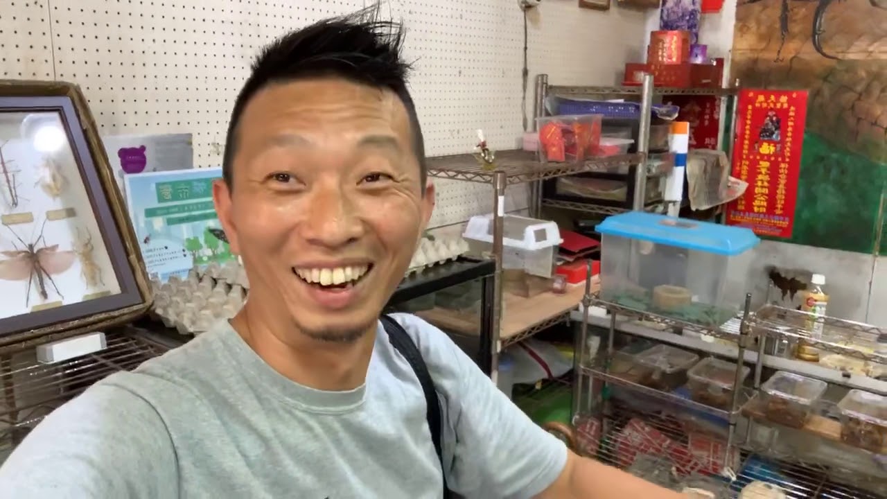 熱血阿傑超狂生態課！逛蟲店insect shop士林蟲磨坊孔夫子鋸鍬形蟲堤風扁G1雲芝菌大兜蟲寶石金龜昆蟲老師