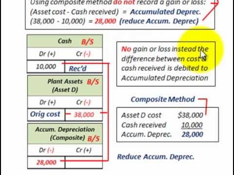 What are Plant Assets?