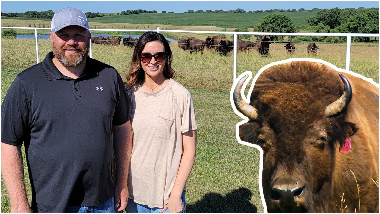 Bison in the Beef State? Nebraska family raises, markets bison for meat