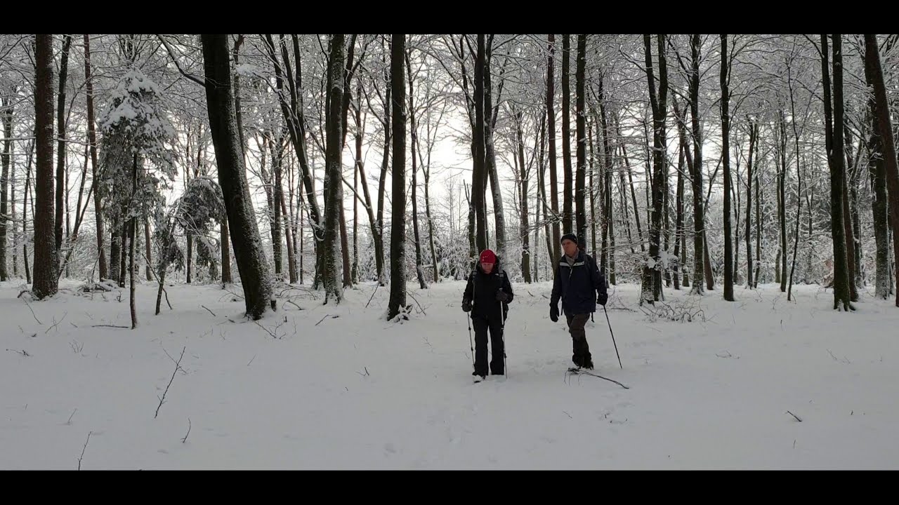 Neige en Belgique 2 - Libramont again