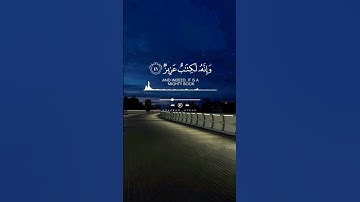 تلاوة هادئة تريح القلب بصوت القارئ رعد الكردي [ سورة فصلت ] #حالات_واتس