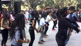 Flash Mob - StuC (Panjab University)