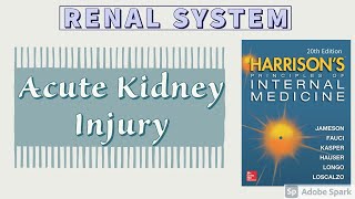 Acute Kidney Injury | Part 2 of 2 | Diagnosis | Treatment | Prognosis | Harrison screenshot 4