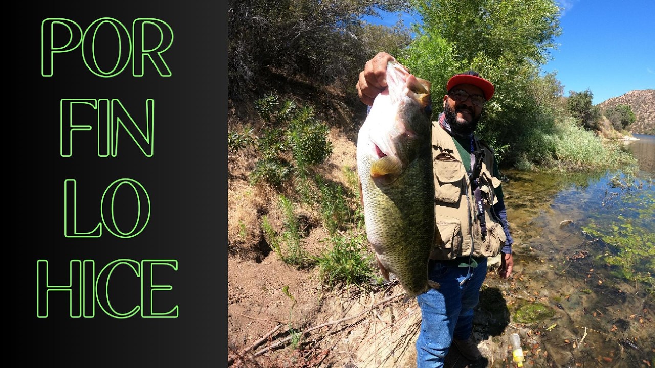 6lb Bass Caught At Silverwood Lake!