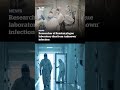 Researcher at Russian  plague laboratory dies  from ‘unknown’ infection