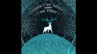 Aican - Don't Go Deep Into The Forest (full album) [Prog Rock, Metal, Alternative] [Russia, 2016]