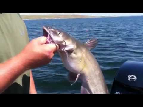 How To Longline Crappie! 