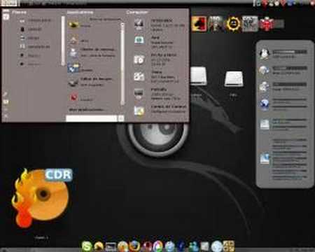 Beryl with ubuntu system panel and dbus efect