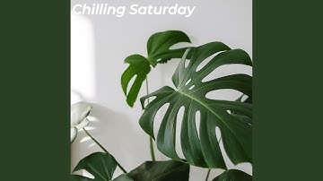 Vibrant Moods for Planned Changes