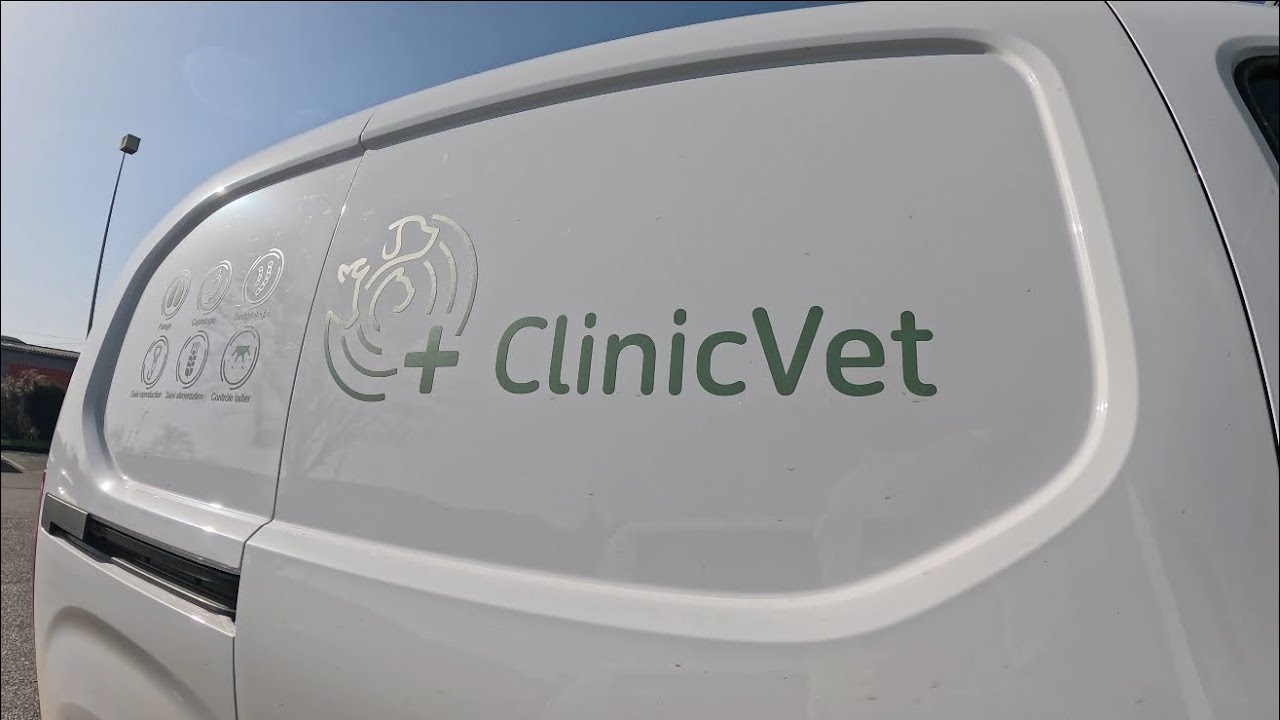 ÉCHEC dans la bergerie ! De la tristesse.. et du bois !