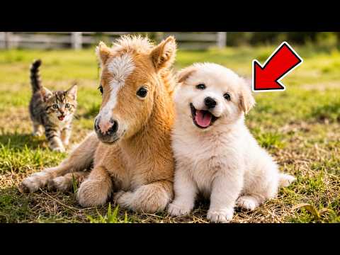 No One Was Ready For These RIDICULOUS Animal Moments 🤣 | Try Not To Laugh Challenge Impossible