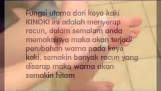 KINOKI GOLD GINGER – Koyo Kaki Detox Foot Patch KINOKI GOLD GINGER – Koyo Kaki Detox Foot Patch