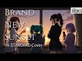 Brand New Sunset / Hi-STANDARD - Cover by 【Room 13】