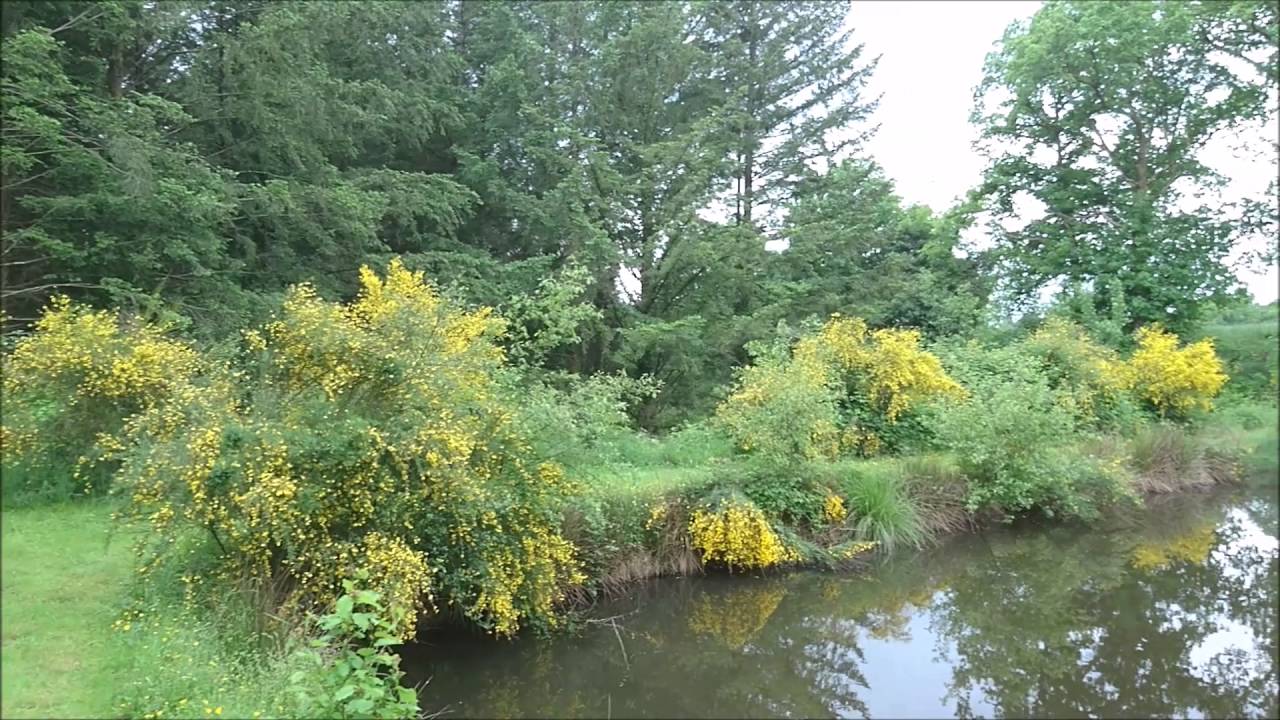 Henham Massif Cabin Lake May 2016