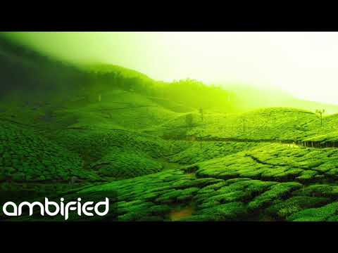 Sunyata Project -