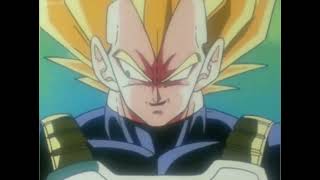 Vegeta: Expert Welly