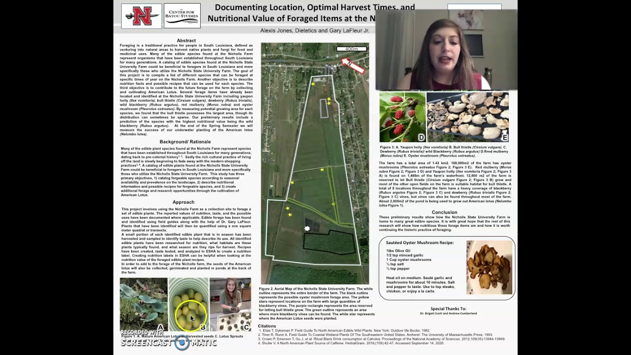 Undergraduate Student Poster Session Office Of Research And Sponsored Programs