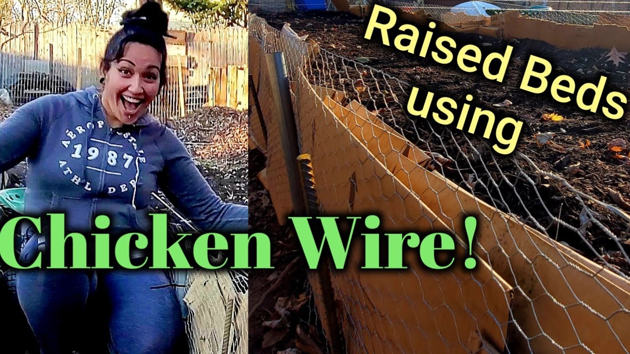 Building Raised Garden Beds CheapUsing Chicken Wire and Other Low Cost