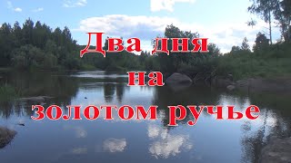 Два дня на золотом ручье