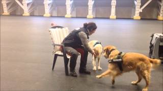 Apportering - Sikker Aflevering