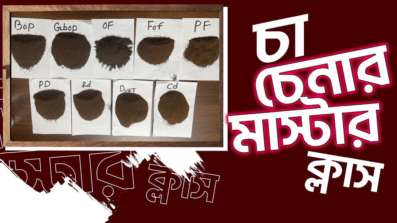 চা চেনার মাস্টারক্লাস | চা চেনার উপায় | কিভাবে চা চিনব | Rajdhani tea