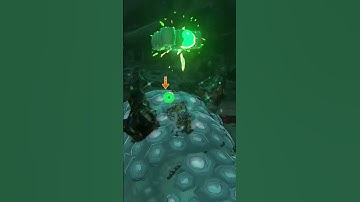 Lore Accurate Link vs Frox