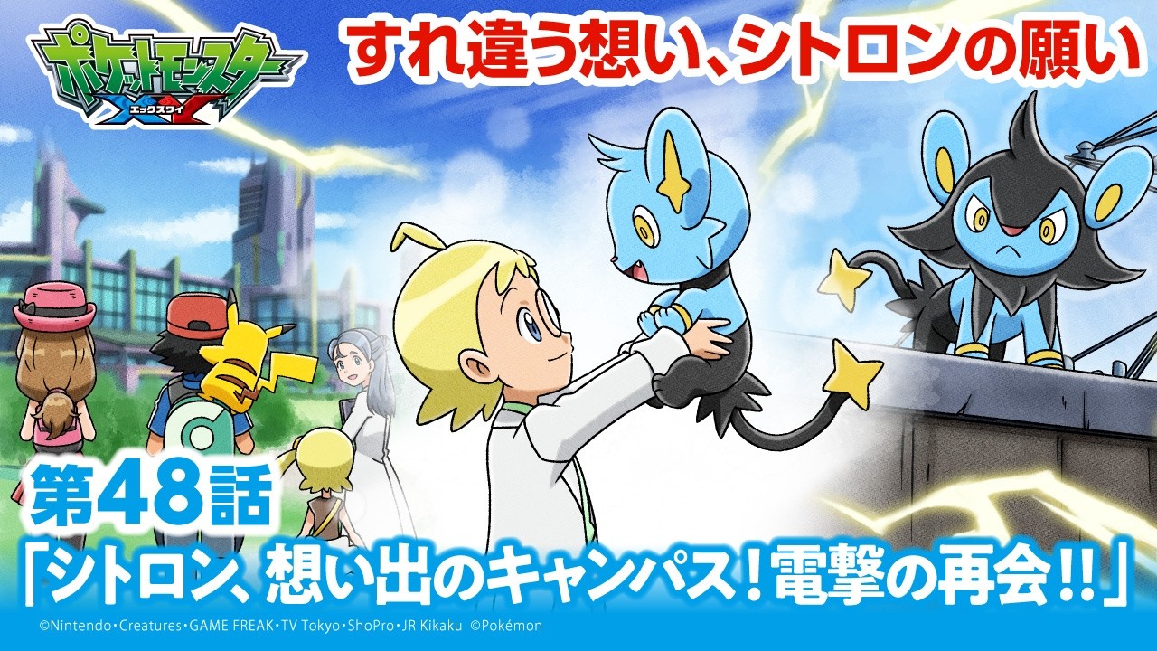 ポケモン エックスワイ 新たな次元へ挑戦した ポケットモンスター X・Y 