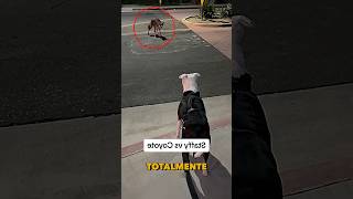 Su perro se topó cara a cara con un salvaje coyote #animales #dog #mascotas