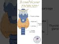 Thyroid