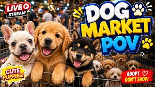 Puppy Market POV Live 🐕 Tiny Dogs and Real Market Sounds