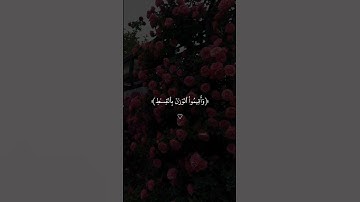 سورة الرحمن 💙#حالات_دينية #حالات_واتس #حالات_واتساب #قرآن #حالات #جمعة_مباركة #كرومات